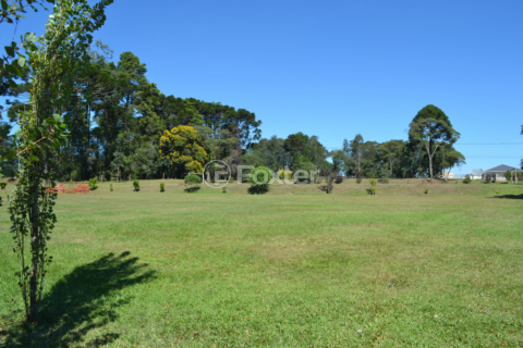 Image 10 - 1001872
