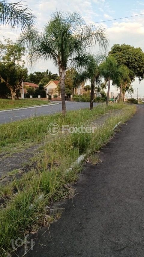 Image 4 - 1001893