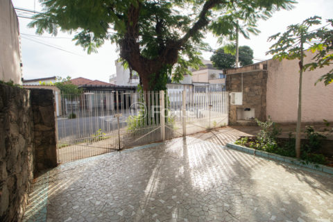 Image 25 - 1002022