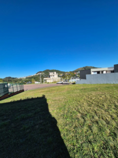Image 8 - 1002079