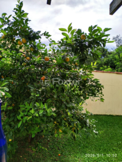 Image 17 - 1003023