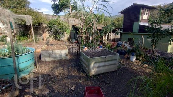Image 9 - 1003206
