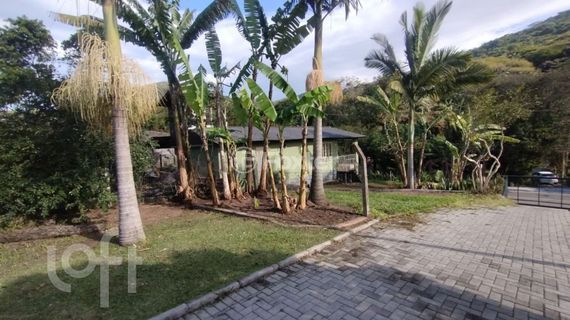 Image 6 - 1003206