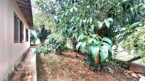 Image 9 - 1003300