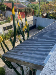 Image 31 - 1003362