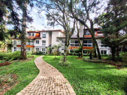 Image 7 - 1003386