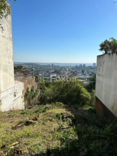 Image 4 - 1003524