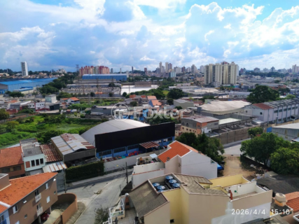 Image 10 - 1003547