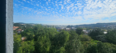 Image 4 - 1003779
