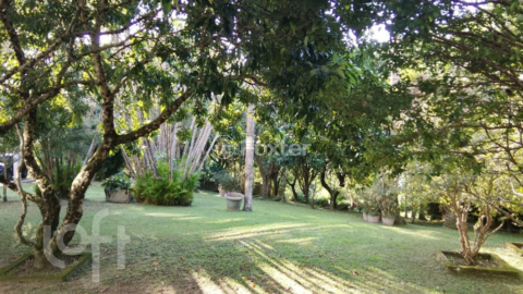 Image 4 - 1004185