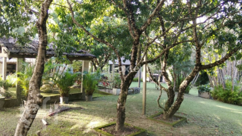 Image 3 - 1004185