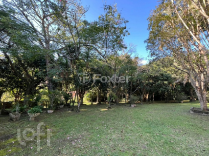 Image 8 - 1004185
