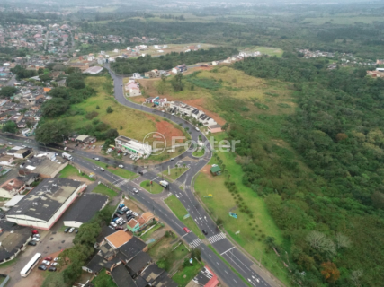 Image 3 - 1004331