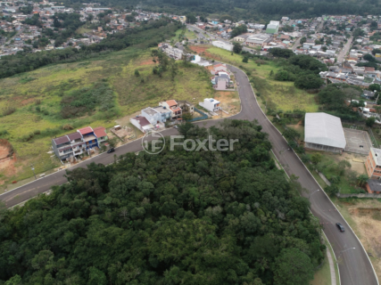 Image 11 - 1004334