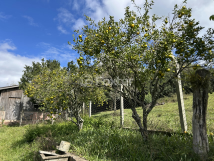 Image 5 - 1004407