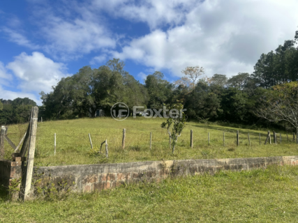 Image 4 - 1004407