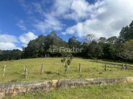 Image 7 - 1004407