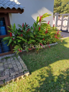 Image 28 - 1004677