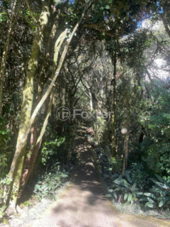 Image 52 - 1004739