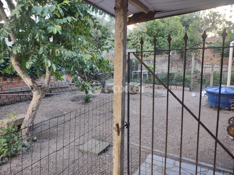 Image 7 - 1004793