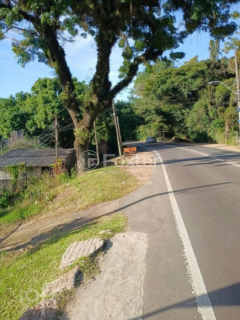 Image 7 - 1005136