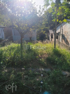 Image 2 - 1005136