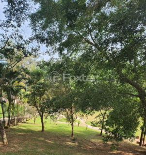 Image 20 - 1005275