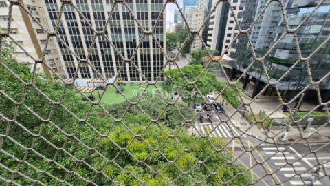 Image 15 - 1005329