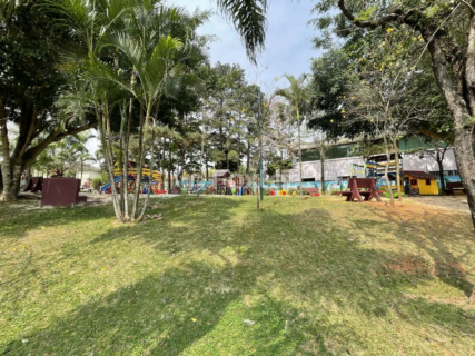 Image 65 - 1005330