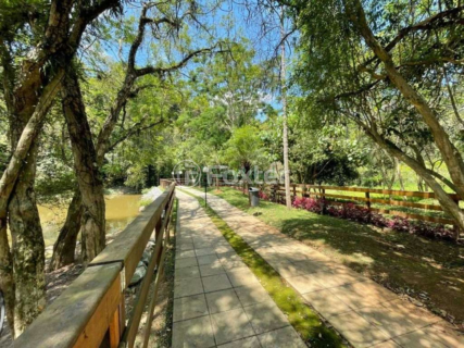Image 75 - 1005330
