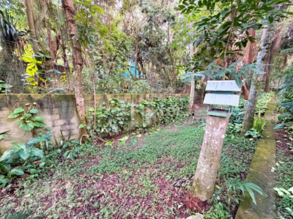 Image 35 - 1005555