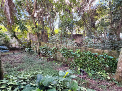 Image 36 - 1005555