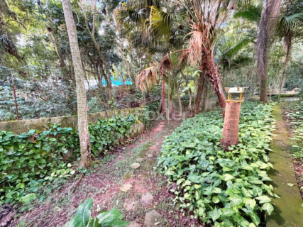 Image 37 - 1005555