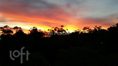 Image 14 - 1005841
