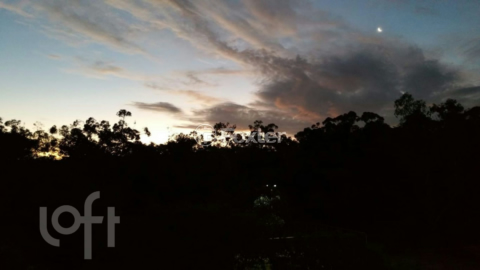 Image 10 - 1005841