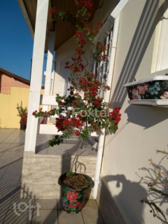 Image 14 - 1005935