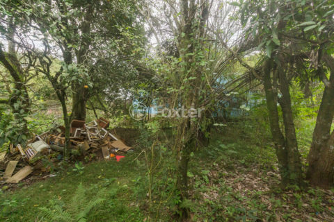 Image 17 - 1006082