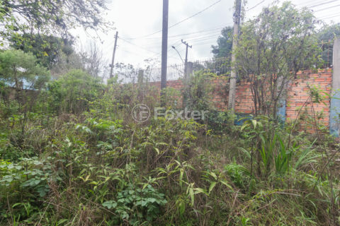Image 7 - 1006082