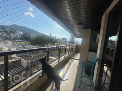 Image 16 - 1006303