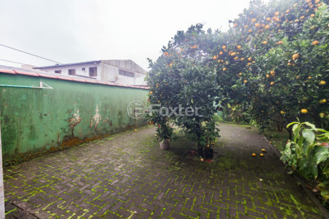 Image 17 - 1006881
