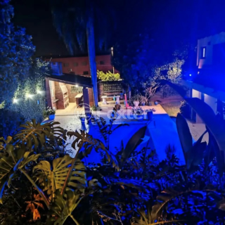 Image 3 - 1006943