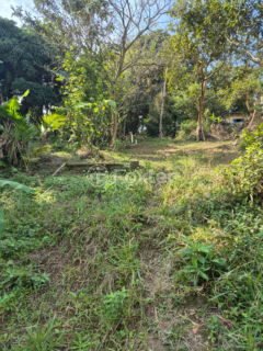 Image 6 - 1007137