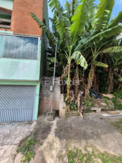 Image 3 - 1007137