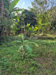 Image 7 - 1007137