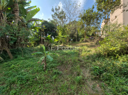 Image 8 - 1007137