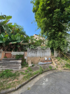 Image 4 - 1007137