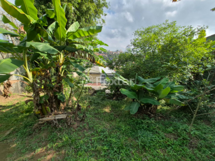 Image 9 - 1007137