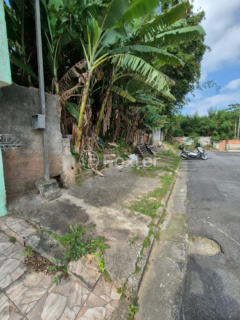 Image 2 - 1007137
