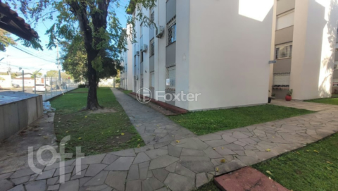 Image 2 - 1007194