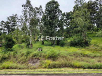 Image 79 - 100724